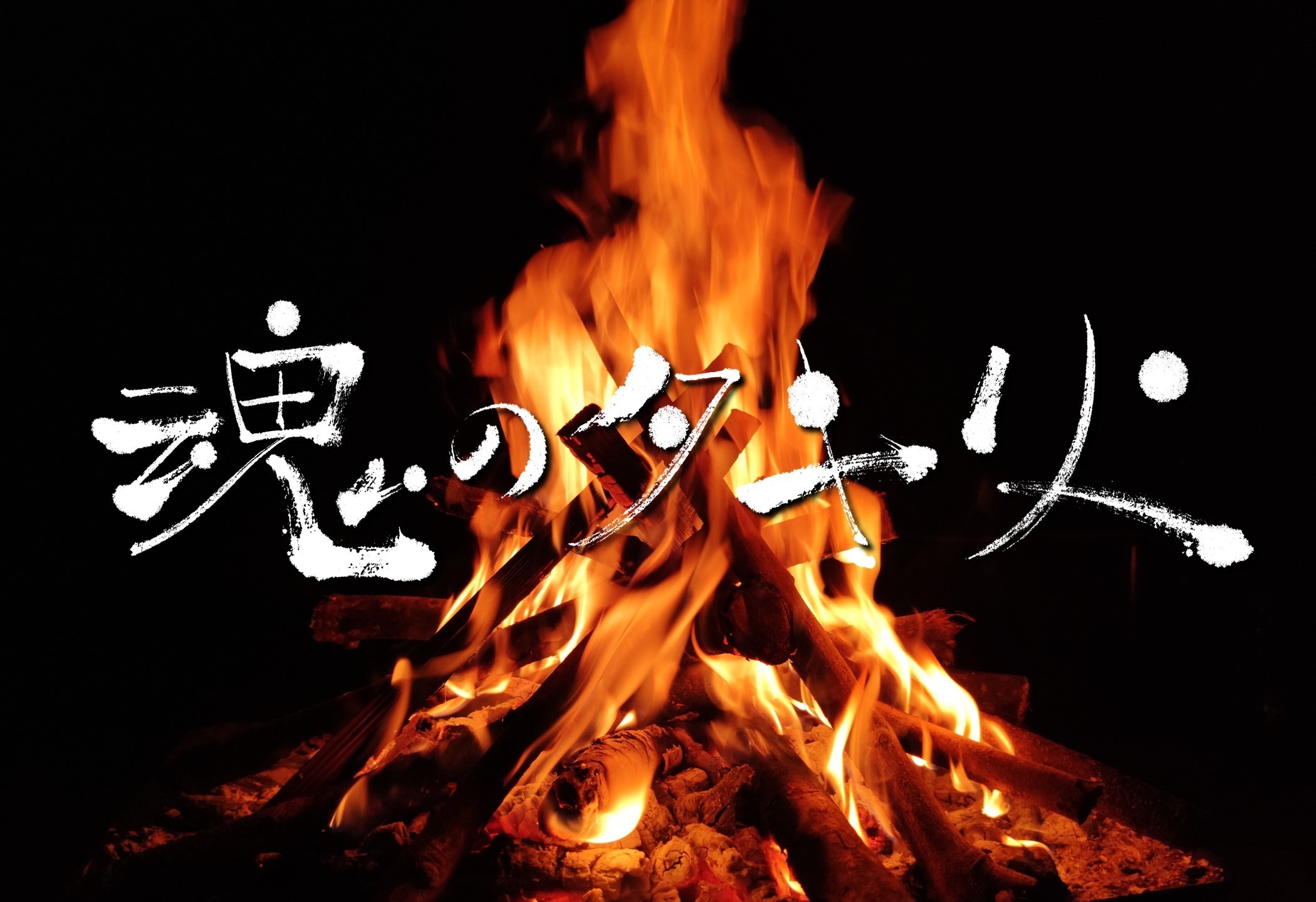 BSプレミアム「魂のタキ火」出演！ | 武田玲奈 OFFICIAL SITE